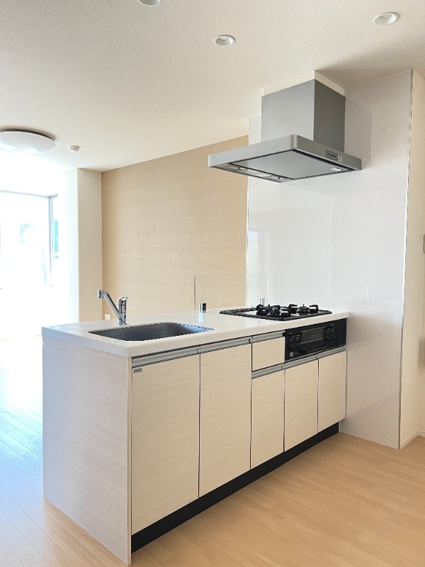 ��ʌ��������܎s�΋�厚����c�̃}���V�����̃L�b�`��