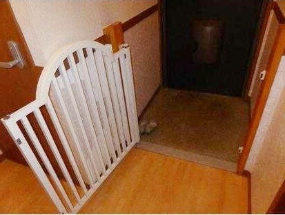 ��ʌ��������܎s�k��g�쒬�P���ڂ̃A�p�[�g�̂��̑��ݔ�