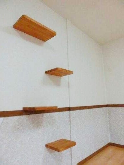 ��ʌ��������܎s�k��g�쒬�P���ڂ̃A�p�[�g�̂��̑�