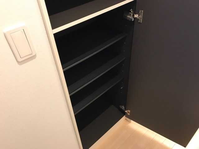 ��ʌ��z�J�s���C�N�^�E���U���ڂ̃A�p�[�g�̌���