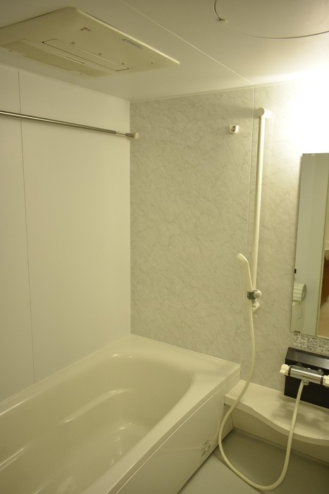 ��ʌ�����s�厚���~�J�̃A�p�[�g�̃o�X