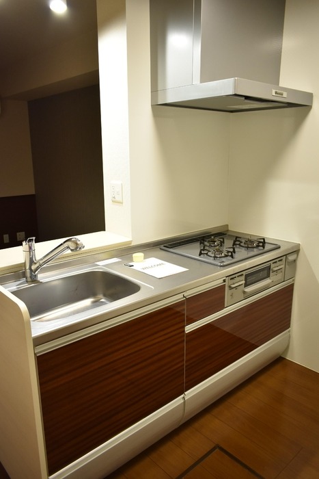 ��ʌ�����s�厚���~�J�̃A�p�[�g�̃L�b�`��