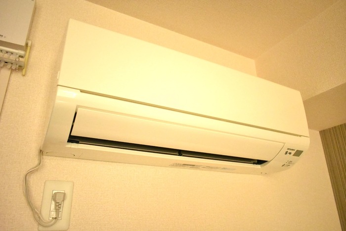 ��ʌ�����s�厚���~�J�̃A�p�[�g�̂��̑��ݔ�