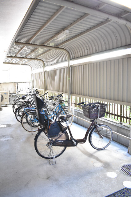 ��ʌ��������܎s�k��{�����̃}���V�����̂��̑�