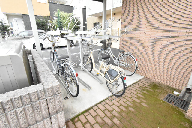 ��ʌ��������܎s�΋�厚���̃}���V�����̂��̑�