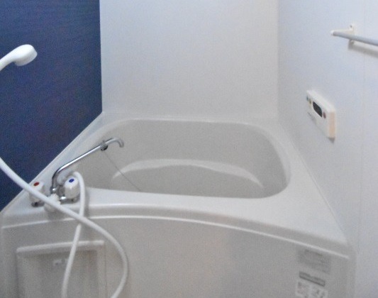 ��ʌ��z�J�s�_�����P���ڂ̃A�p�[�g�̃o�X