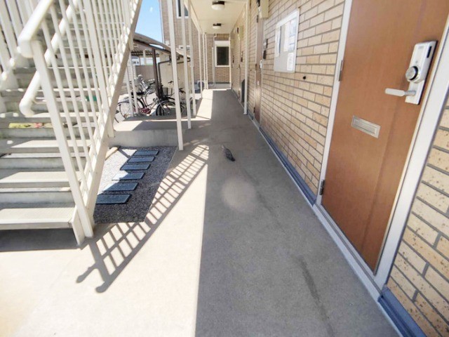 ��ʌ��z�J�s���C�N�^�E���Q���ڂ̃A�p�[�g�̃G���g�����X