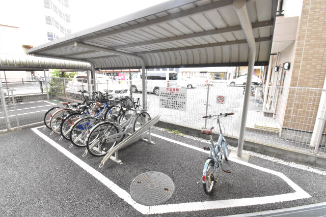 ��ʌ��z�J�s�ԎR�{���̃}���V�����̂��̑�