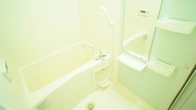 ��ʌ�����s���V���̃}���V�����̃o�X