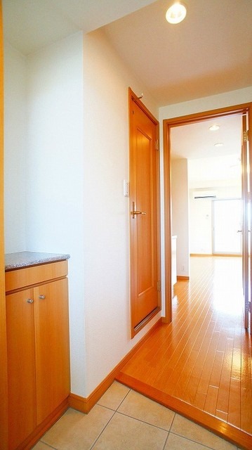 ��ʌ�����s���V���̃}���V�����̌���