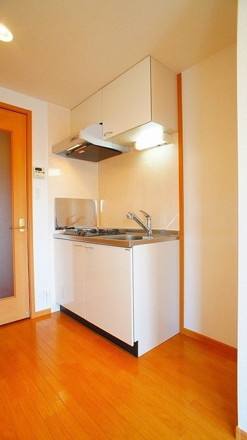 ��ʌ�����s���V���̃}���V�����̂��̑�