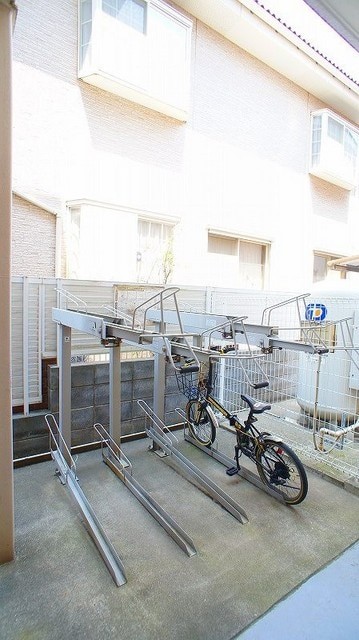 ��ʌ�����s���V���̃}���V�����̂��̑�