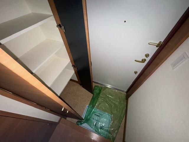 ��ʌ��z�J�s���C�N�^�E���U���ڂ̃}���V�����̌���