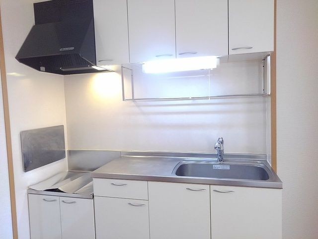 ��ʌ��z�J�s�����Q���ڂ̃A�p�[�g�̃L�b�`��