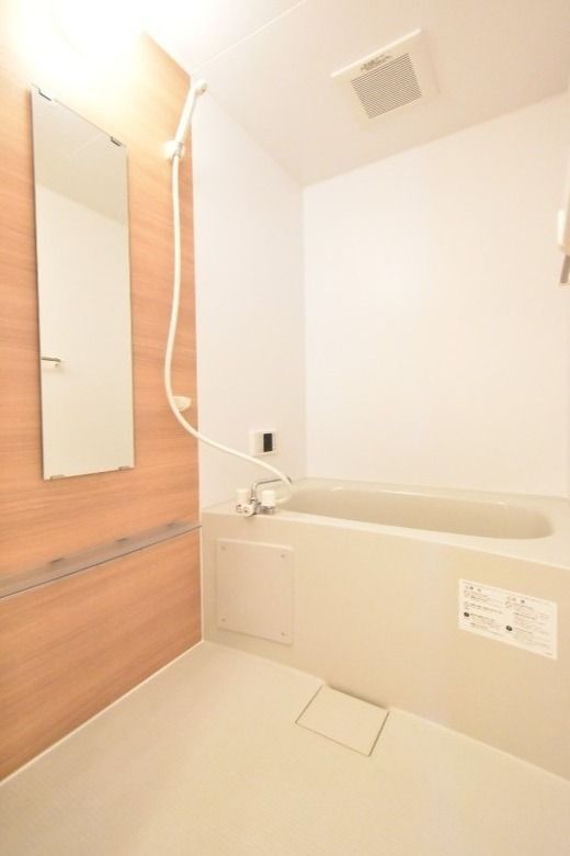 ��ʌ��z�J�s�o�˒��̃A�p�[�g�̃o�X