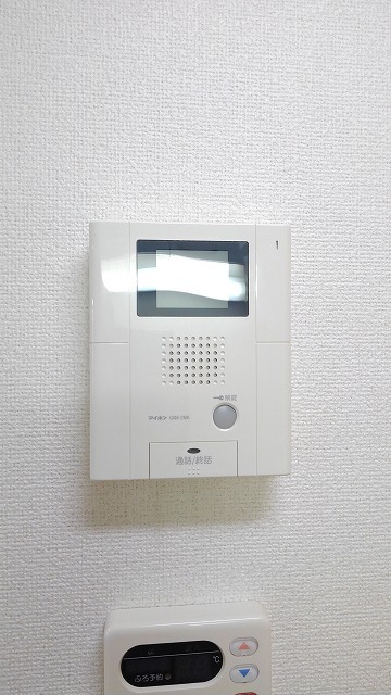 ��ʌ��t�����s�����P���ڂ̃}���V�����̂��̑�