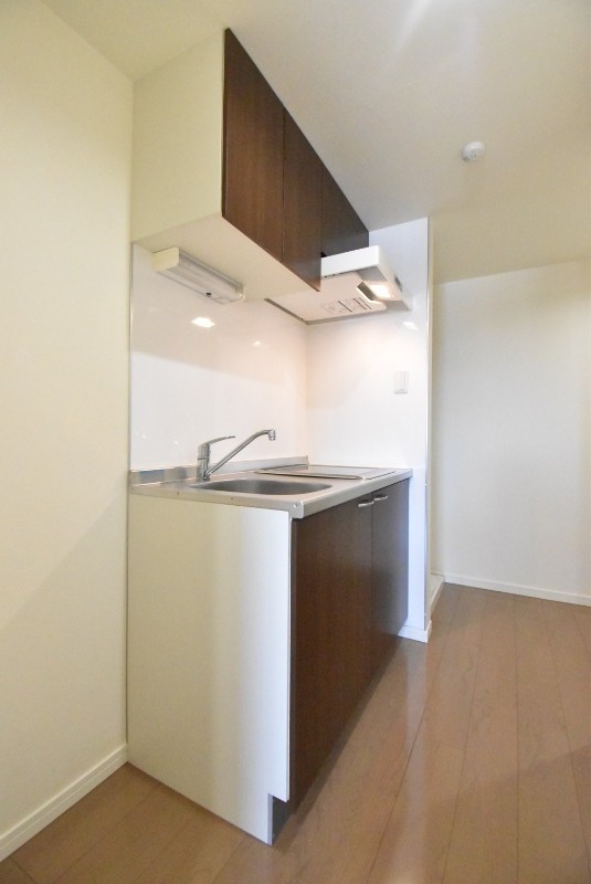 ��ʌ�����s���ԂP���ڂ̃A�p�[�g�̃L�b�`��