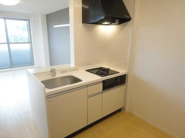 ��ʌ�����s�厚������̃}���V�����̃L�b�`��