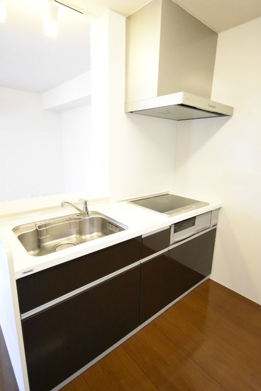 ��ʌ��������܎s�������a�c���P���ڂ̃A�p�[�g�̃L�b�`��