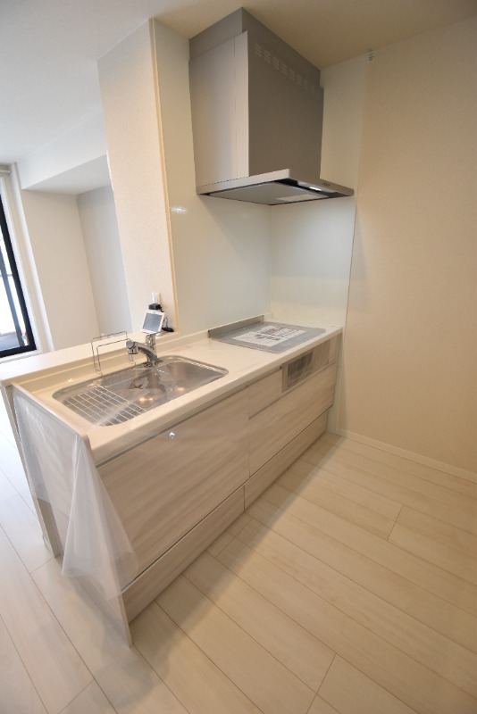 ��ʌ��������܎s�����扺�����S���ڂ̃}���V�����̃L�b�`��