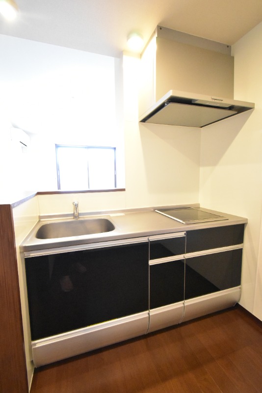 ��ʌ��������܎s����厚���v�ۂ̃A�p�[�g�̃L�b�`��