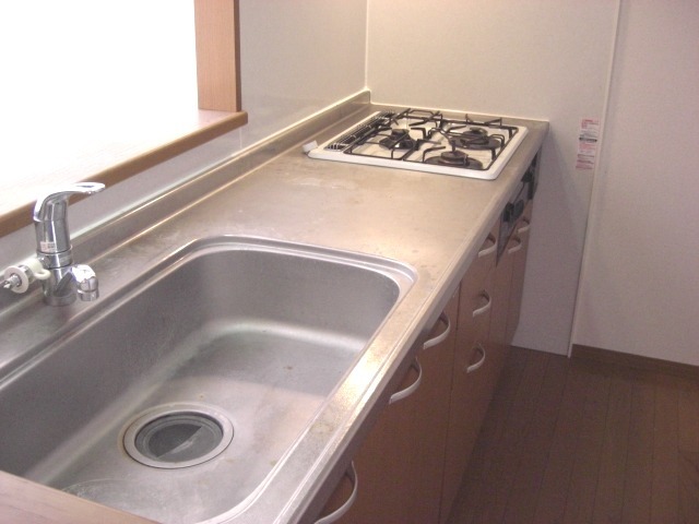 ��ʌ��������܎s�Y�a�挳���Q���ڂ̃e���X�n�E�X�̃L�b�`��