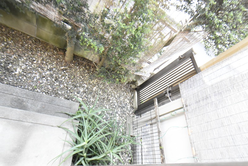 ��ʌ��������܎s�k��A�|���P���ڂ̃A�p�[�g�̃o���R�j�[