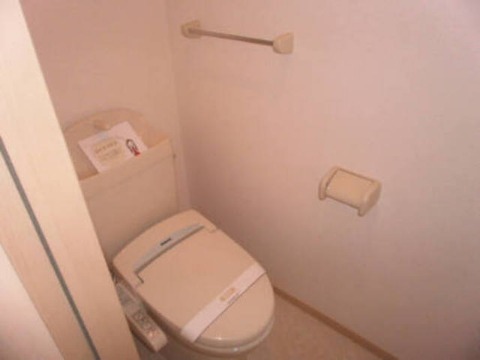 ��ʌ��������܎s�k�捡�H���̃A�p�[�g�̃g�C��