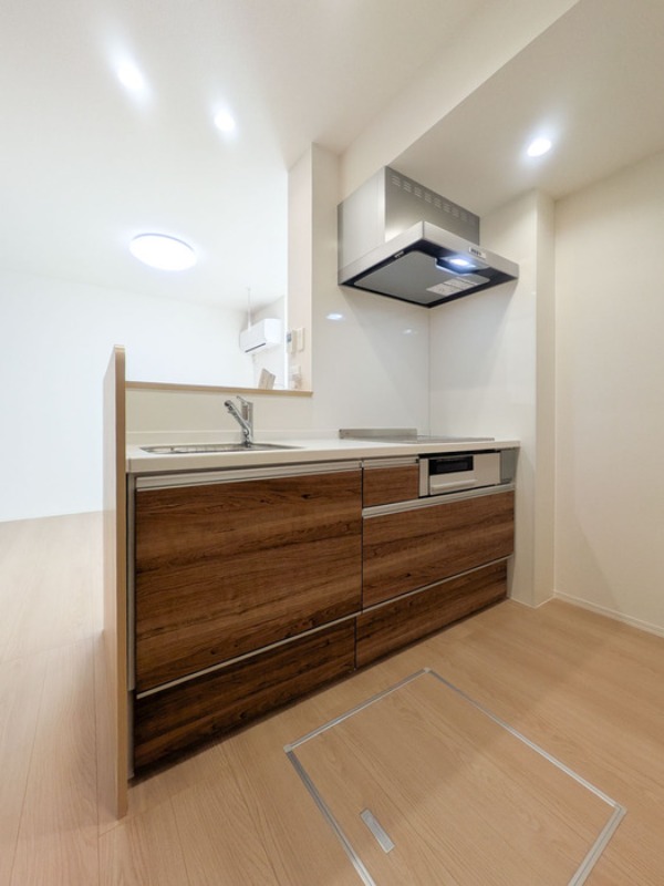 ��ʌ��z�J�s�o�˒��̃A�p�[�g�̃L�b�`��