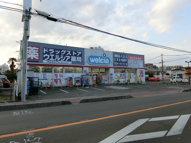 ��ʌ��������܎s�����擌��{�P���ڂ̈�ˌ��Ă̎���