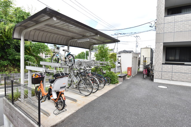 ��ʌ�����s�厚������̃}���V�����̂��̑�