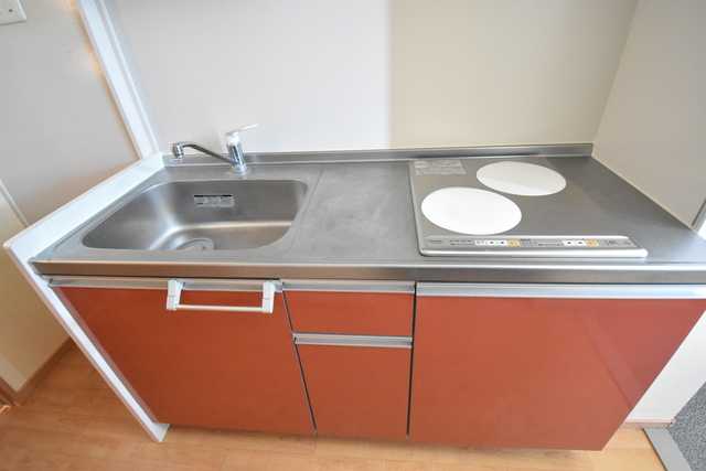 ��ʌ��������܎s�������˂T���ڂ̃A�p�[�g�̃L�b�`��