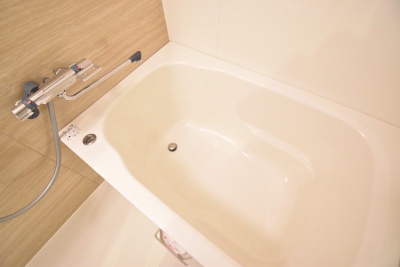 ��ʌ��������܎s�΋�厚���̃}���V�����̃o�X