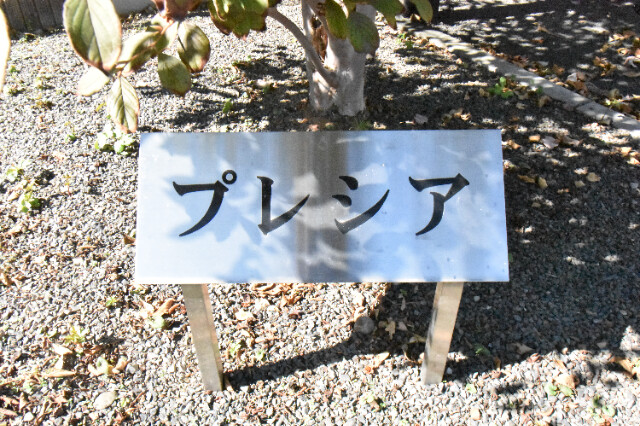 ��ʌ��@�c�s���U���ڂ̃A�p�[�g�̎���