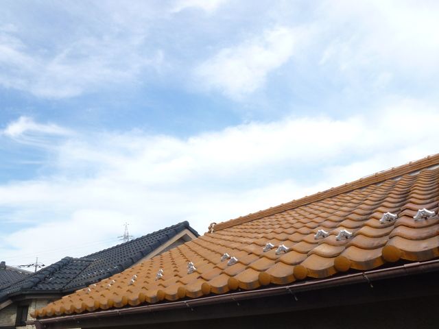 ��ʌ��������܎s��{��V�����Q���ڂ̃A�p�[�g�̂��̑�