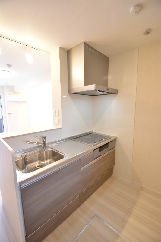 ��ʌ��������܎s����厚�w��̃A�p�[�g�̃L�b�`��