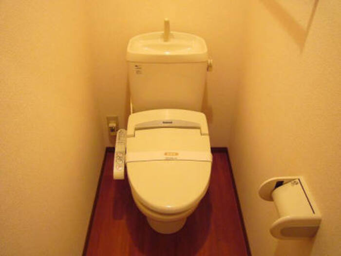 ��ʌ��������܎s�����攪���q�R���ڂ̃A�p�[�g�̃g�C��