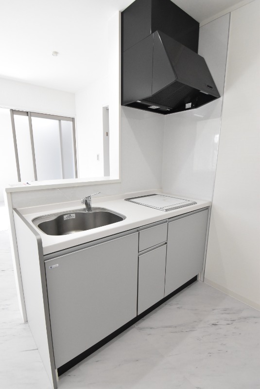 ��ʌ�����s������S���ڂ̃A�p�[�g�̃L�b�`��