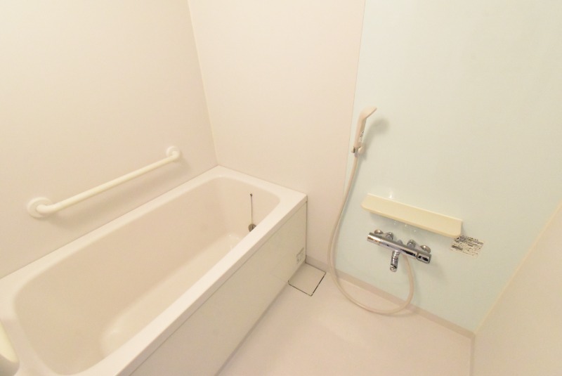 ��ʌ��z�J�s���z�J�R���ڂ̃}���V�����̃o�X