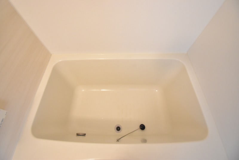 ��ʌ�����s������S���ڂ̃A�p�[�g�̃o�X