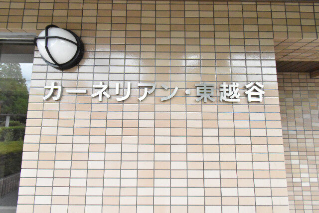 ��ʌ��z�J�s���z�J�R���ڂ̃}���V�����̂��̑�