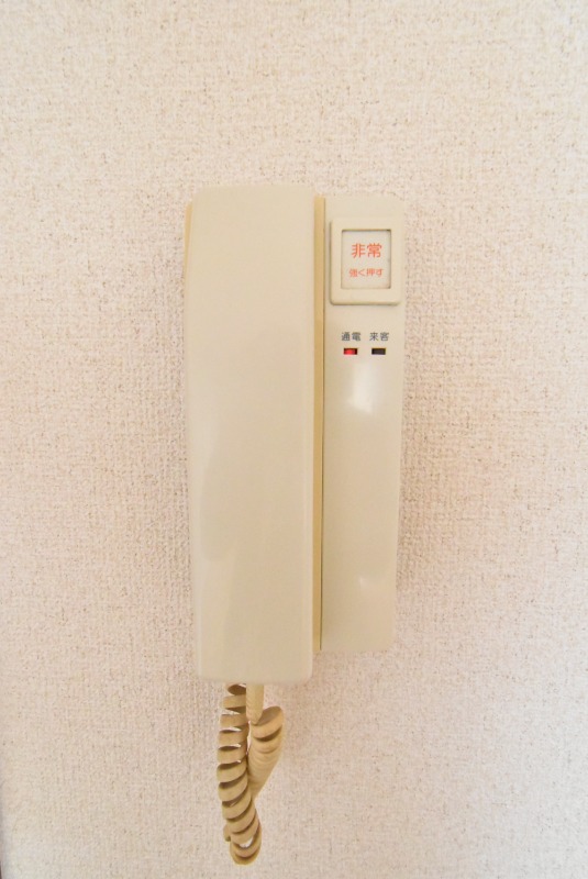 ��ʌ��z�J�s���z�J�R���ڂ̃}���V�����̂��̑�