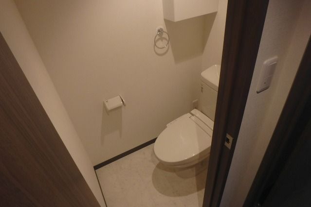 ��ʌ�����s�˒������̃}���V�����̃g�C��