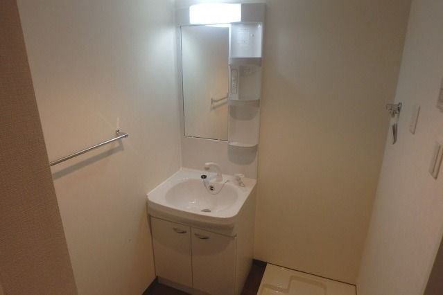 ��ʌ�����s�˒������̃}���V�����̐��ʏ�