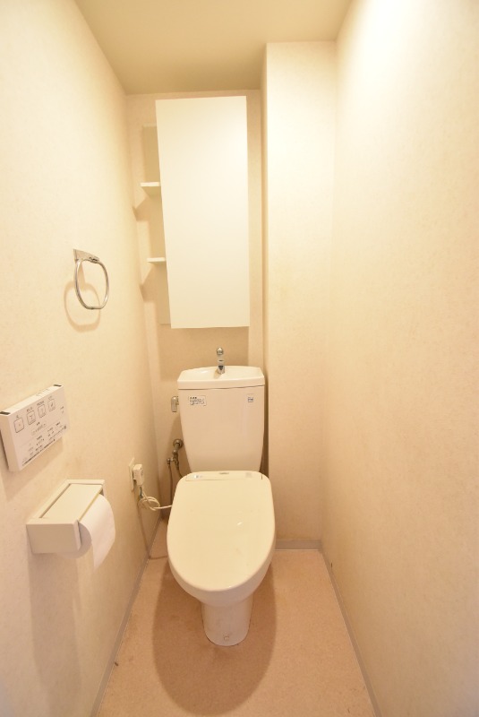 ��ʌ��z�J�s�厚�����̃}���V�����̃g�C��