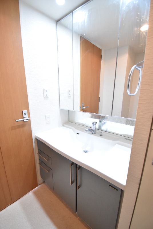 ��ʌ��z�J�s�厚�����̃}���V�����̐��ʏ�