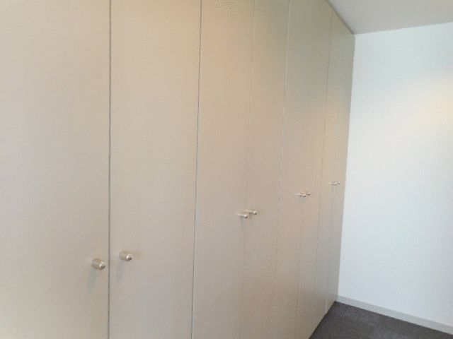 ��ʌ������s�����S���ڂ̃}���V�����̎��[