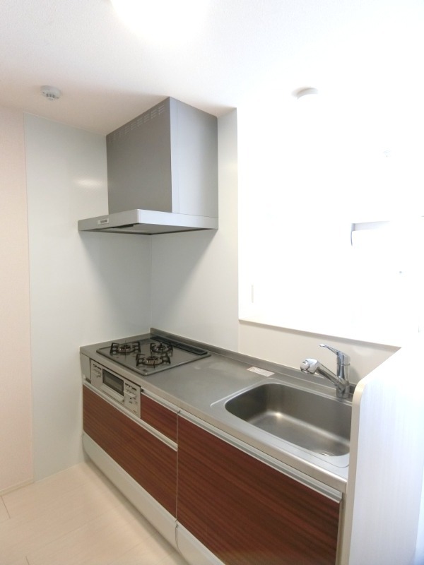 ��ʌ��z�J�s���C�N�^�E���U���ڂ̃A�p�[�g�̃L�b�`��