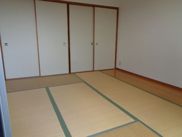 ��ʌ������s�����S���ڂ̃}���V�����̂��̑�