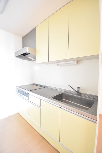 ��ʌ��������܎s��������u�Q���ڂ̃A�p�[�g�̃L�b�`��